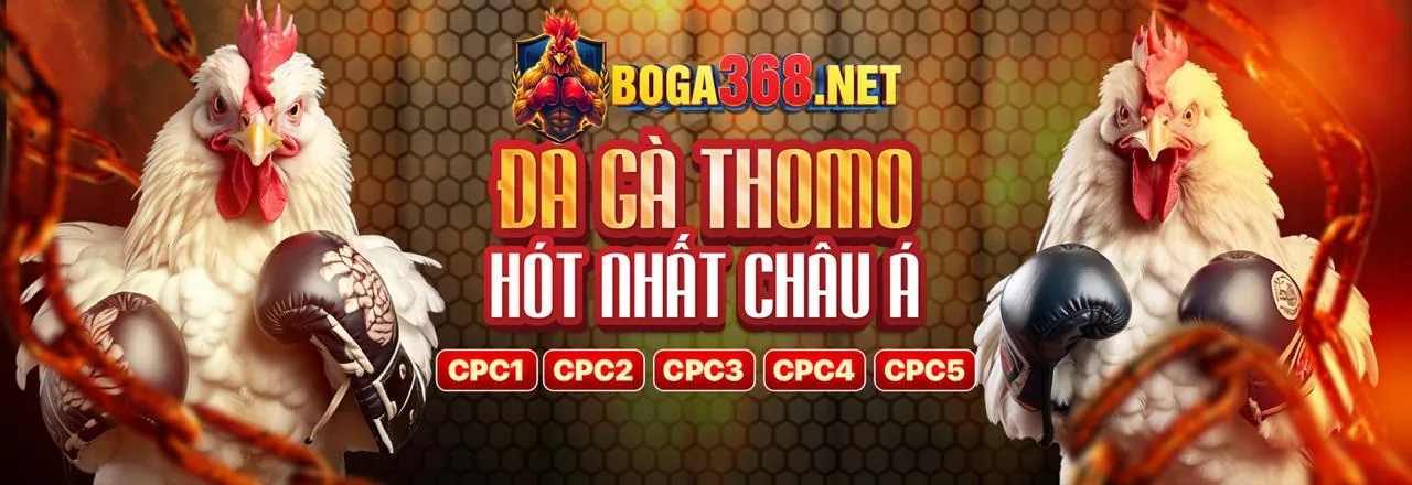 Các tính năng cá cược và giải trí đa dạng trên BU88 App